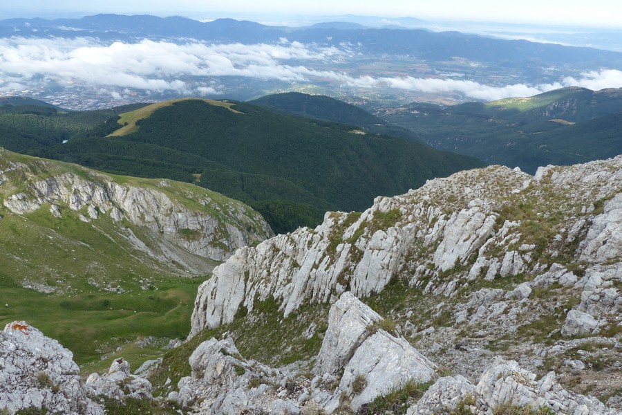 er Terminillo: la Nigritella widderi e altre orchidee sulla montagna di Roma.